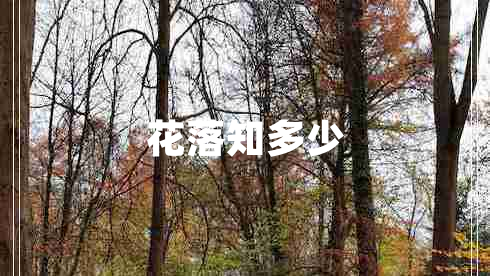 花落知多少