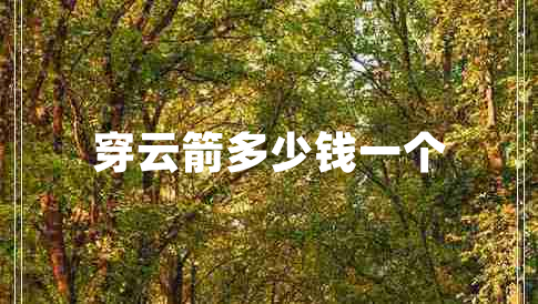 穿云箭多少錢一個(gè)