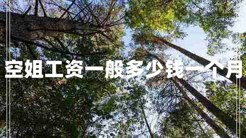 空姐工資一般多少錢一個(gè)月