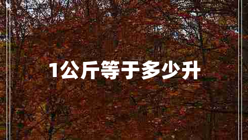 1公斤等于多少升