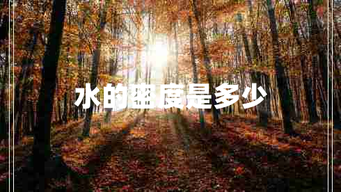 水的密度是多少 水的密度是多少