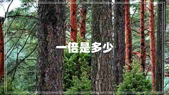 一倍是多少 一倍是多少