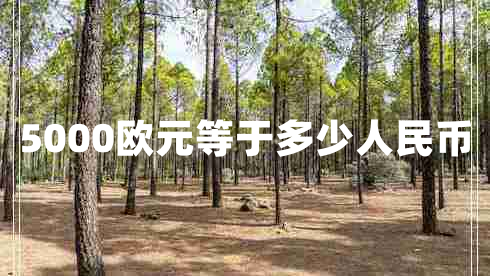 5000歐元等于多少人民幣