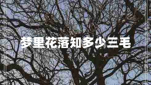 夢(mèng)里花落知多少三毛