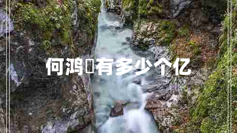 何鴻燊有多少個億