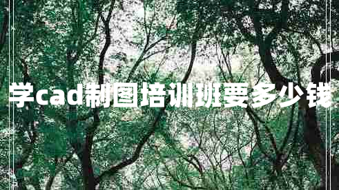 學(xué)cad制圖培訓(xùn)班要多少錢