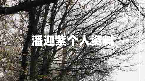 潘迎紫個人資料