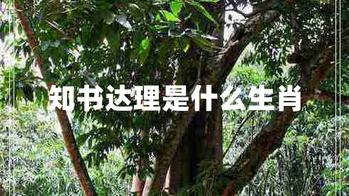 知書達(dá)理是什么生肖