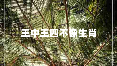 王中王四不像生肖 王中王四不像生肖