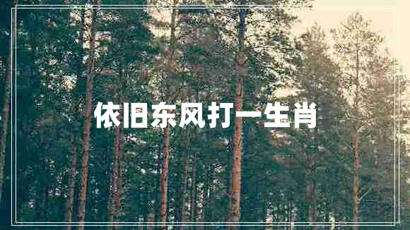 依舊東風(fēng)打一生肖