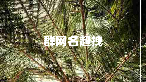 群網(wǎng)名超拽