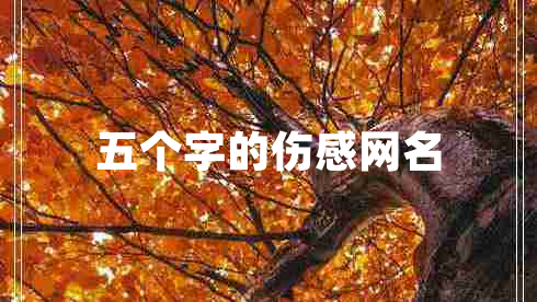 五個字的傷感網(wǎng)名