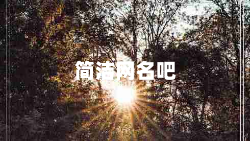 簡(jiǎn)潔網(wǎng)名吧