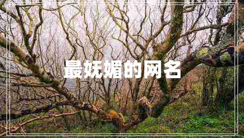 最嫵媚的網(wǎng)名