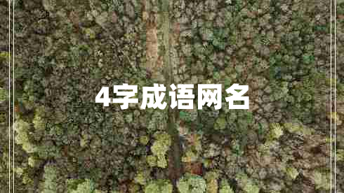 4字成語網(wǎng)名