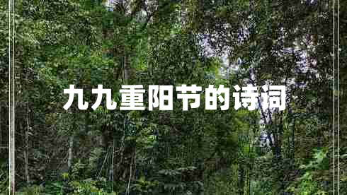 九九重陽節(jié)的詩詞