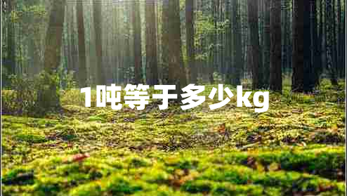 1噸等于多少kg