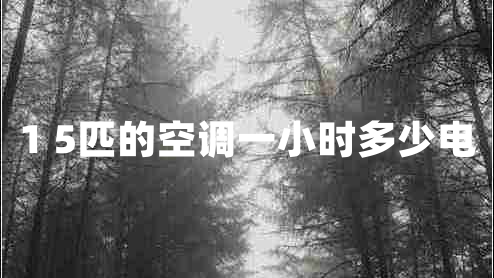 1 5匹的空調(diào)一小時(shí)多少電 1 5匹的空調(diào)一小時(shí)多少電