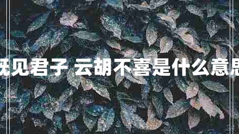 既見(jiàn)君子 云胡不喜是什么意思