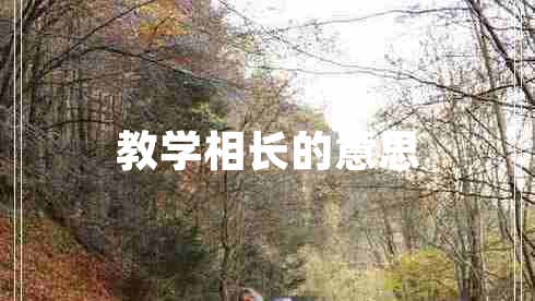 教學(xué)相長的意思