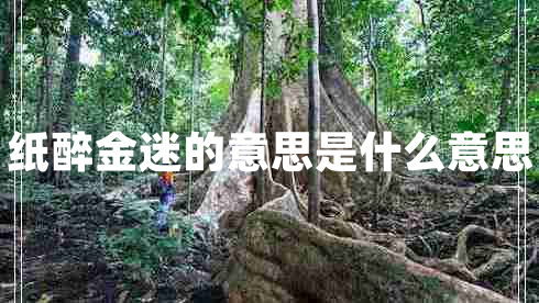 紙醉金迷的意思是什么意思