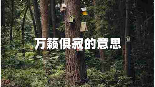 萬籟俱寂的意思 萬籟俱寂的意思