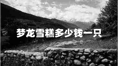 夢龍雪糕多少錢一只