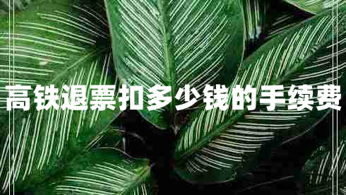 高鐵退票扣多少錢(qián)的手續(xù)費(fèi)