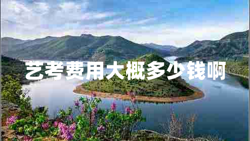 藝考費(fèi)用大概多少錢(qián)啊
