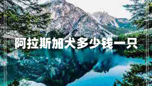 阿拉斯加犬多少錢(qián)一只