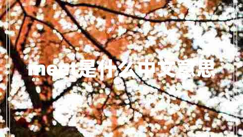 meet是什么中文意思