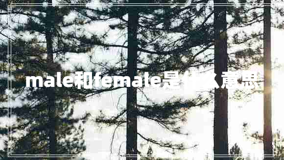 male和female是什么意思