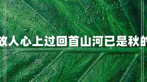 忽有故人心上過回首山河已是秋的意思