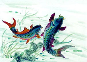 鯉魚跳龍門的典故,鯉魚的來(lái)歷典故,鯉魚焙面的典故