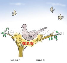 鳩占鵲巢典故,鳩占鵲巢典故由來(lái),鳩占鵲巢典故說(shuō)明