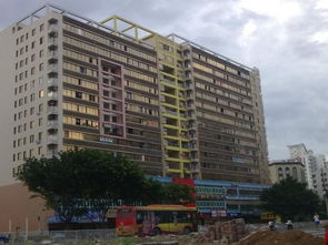 惠州,典故,市金