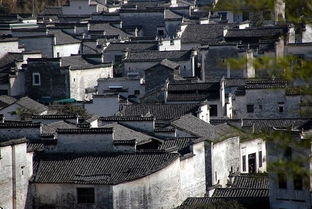 江南,典故,古詩