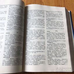 詩(shī)詞典故詞典