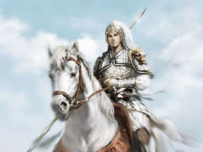 關(guān)于趙云的典故有哪些,有關(guān)趙云的典故,趙云的典故成語