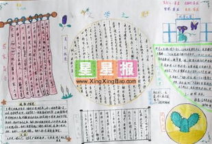 典故,手抄報,文學(xué)