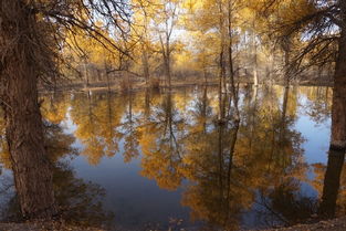 金戈鐵馬,典故,萬里,如虎