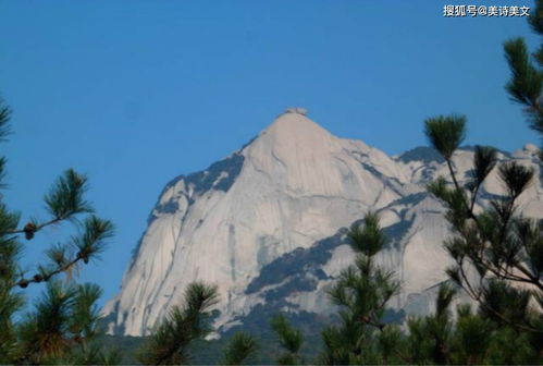 與王安石有關(guān)的典故,王安石的典故有哪些,王安石雙喜臨門的典故