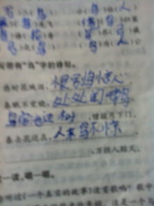 僧敲月下門的典故讀后感,僧敲月下門的典故出處,賈島僧敲月下門的典故