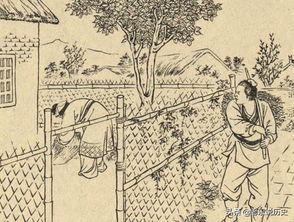 偷雞摸狗典故,偷雞摸狗的典故源自,偷雞摸狗出自哪個典故