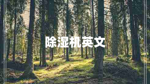 除濕機(jī)英文