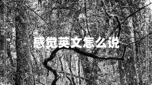 感覺(jué)英文怎么說(shuō)