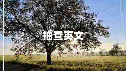 抽查英文