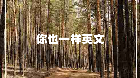 你也一樣英文