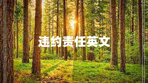 違約責(zé)任英文