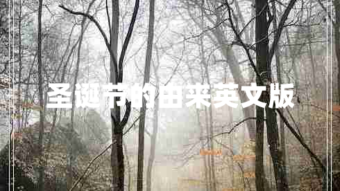 圣誕節(jié)的由來英文版